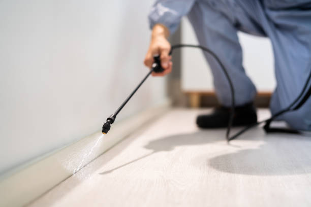 Certified termite inspector examining foundation in Caldwell